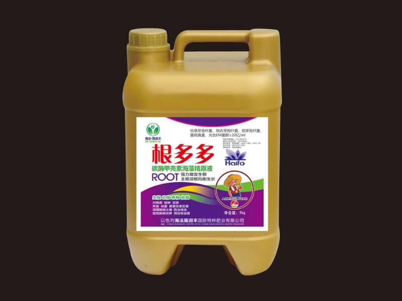 根多多